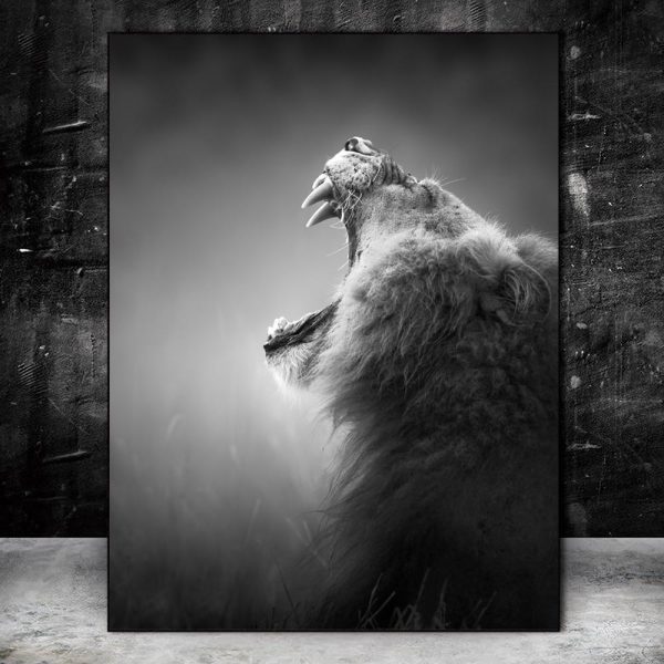 Black And White Roaring Lion Canvas Print Picture - Image 3