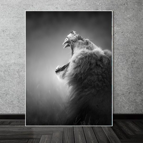 Black And White Roaring Lion Canvas Print Picture - Image 5