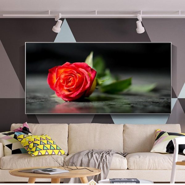 Large Red Rose on a Dark Background Wall Art Canvas Print - Image 3