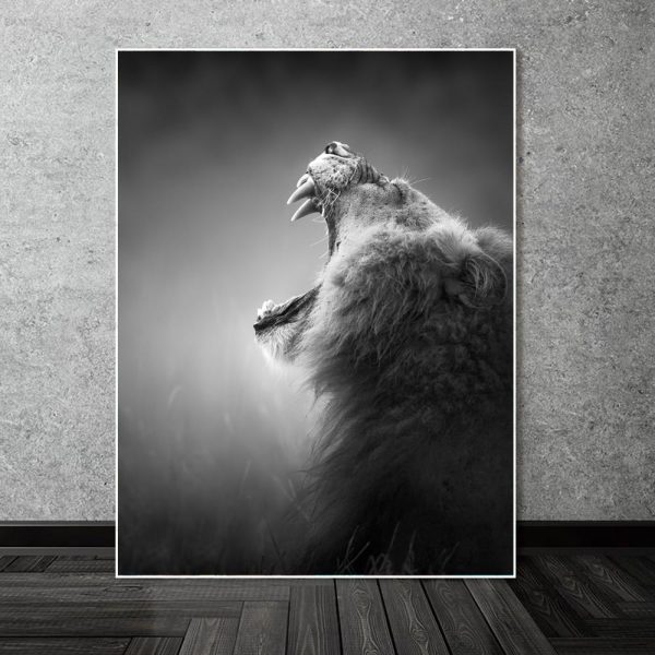 Black And White Roaring Lion Canvas Print Picture - Image 6