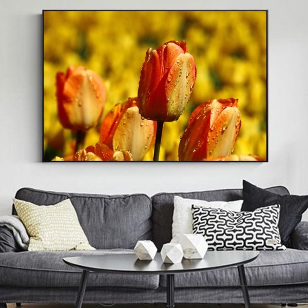 Colorful Tulip Flowers in Water Drops Wall Art Canvas Print