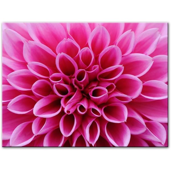 Pink Colorful Dahlia Wall Art Canvas Print - Image 3