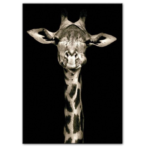 Giraffe On Black Background Wall Art Canvas Painting - Image 2