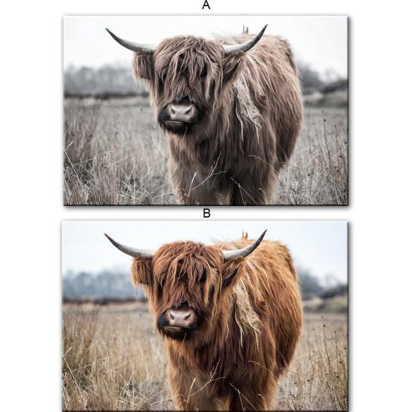 Highland Cow in the Pasture Wall Art Canvas Print - Image 3