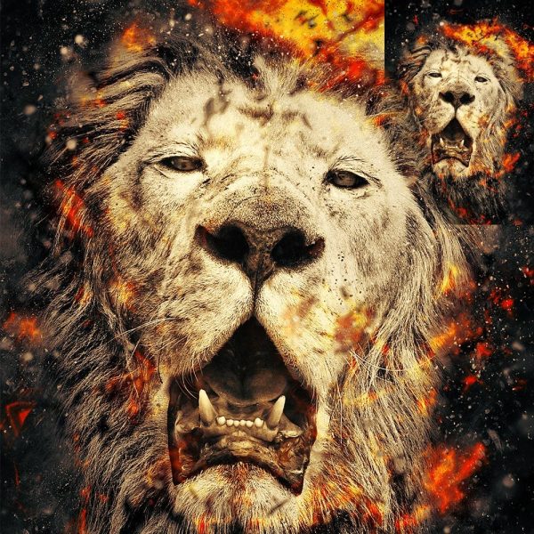 Lion Head with Fire Wall Art Canvas Print - Image 6