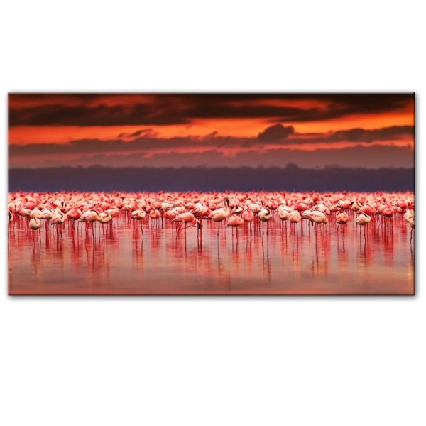 African Flamingo at Sunset Wall Art Canvas Print - Image 3