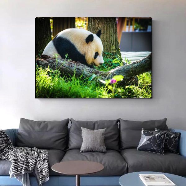 Giant Panda Wall Art Canvas Print