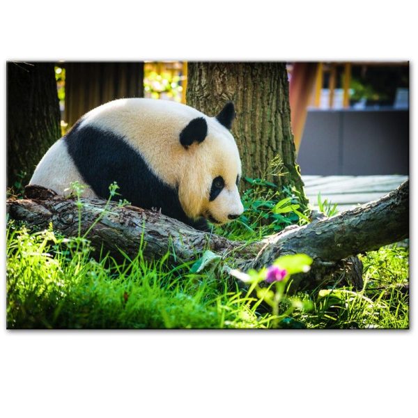 Giant Panda Wall Art Canvas Print - Image 3