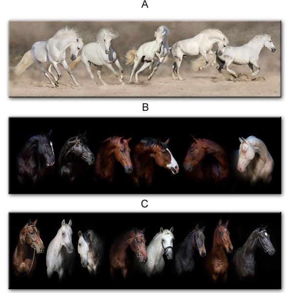 Horses Animals Wall Posters And Prints - Image 3