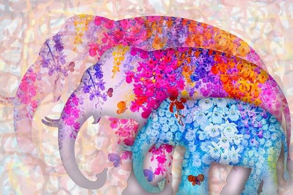 Colorful Elephant Family Canvas Print Wall Picture - Image 6