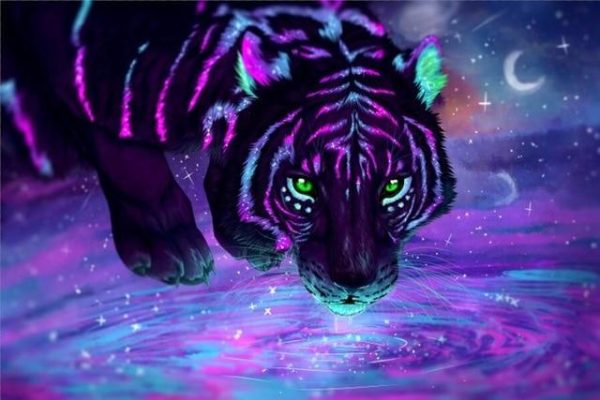 Galaxy Stars Tigers Canvas Wall Paintings - Image 7