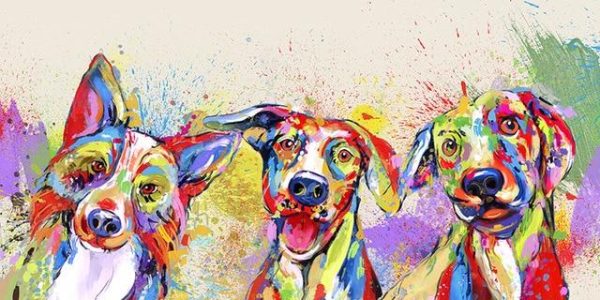 Colorful Funny Dogs Wall Art Canvas Print - Image 5
