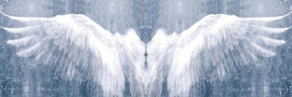 Vintage White Angel Wings Wall Art Canvas Print - Image 7