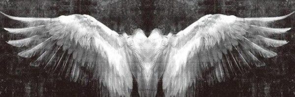 Vintage White Angel Wings Wall Art Canvas Print - Image 8