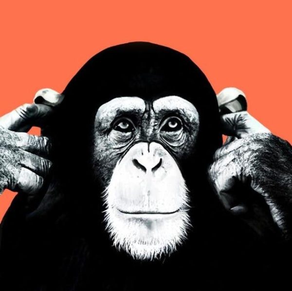 Graffiti Funny Orangutan Wall Art Canvas Picture - Image 8