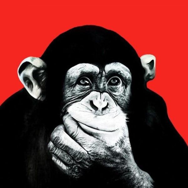 Graffiti Funny Orangutan Wall Art Canvas Picture - Image 10