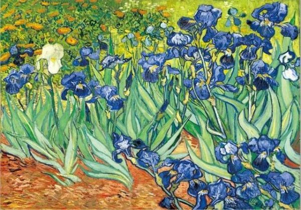 Irises Van Gogh Wall Art Canvas Print - Image 7