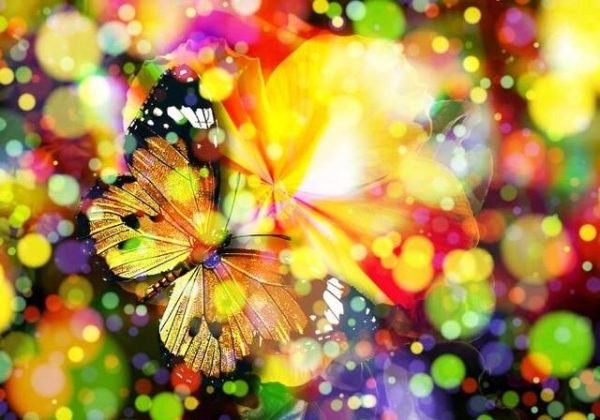 Multicolor Butterfly with Flowers Wall Art Canvas Print - Image 7