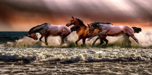 Horses Running on the Waves Wall Art Canvas Print - Image 7
